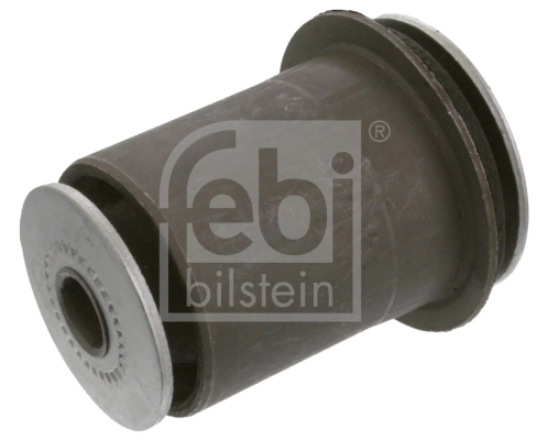 Mounting, control/trailing arm